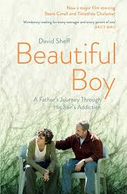 beautiful boy book