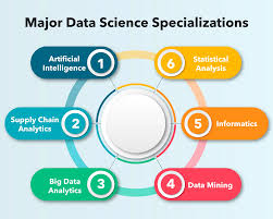 Exploring the Significance of a Data Science Major in Today’s Data-Driven World