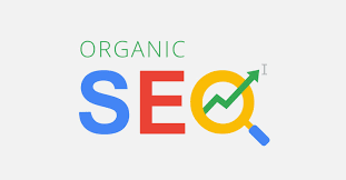 Unlocking Online Success: The Essential Role of an Organic SEO Expert