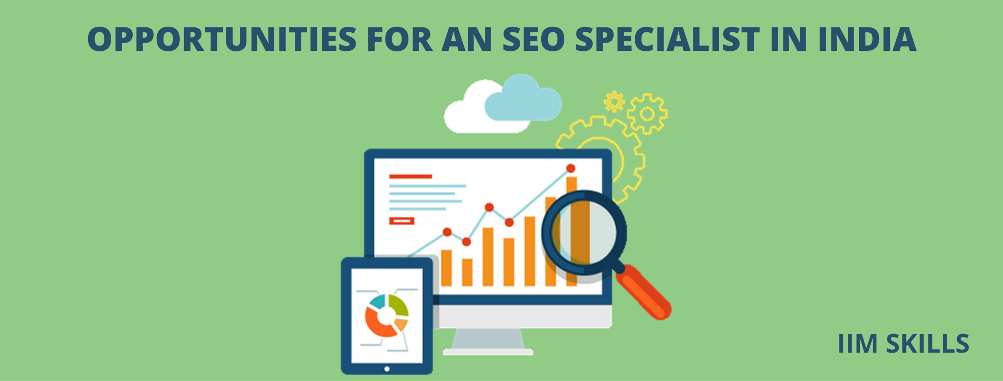 looking for seo specialist