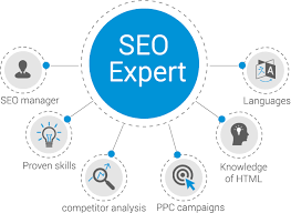 seo optimization expert